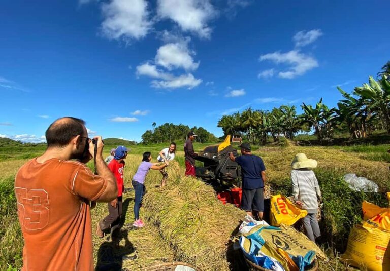 Panglao: Dao, Forests, and Tarsier Sanctuary Tour with Lunch - Practical Details: What You Need to Know