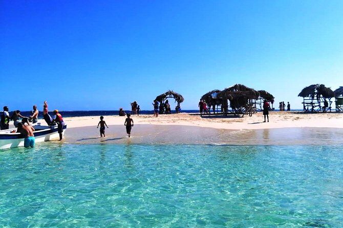Paradise Island & Mangroves Tour - The Experience: What You Can Expect