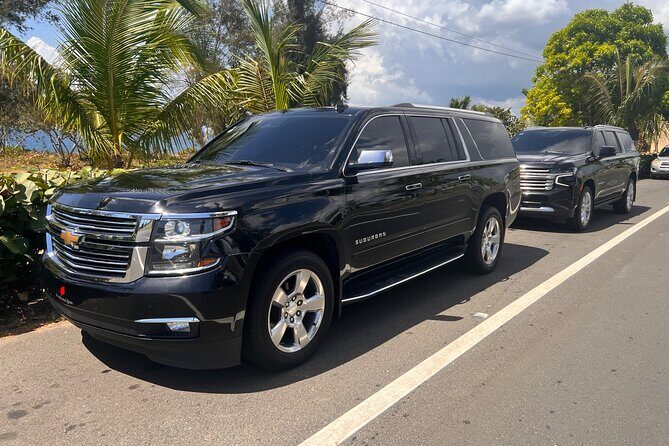 Paradise on Wheels: Suburban Premiere in Punta Cana - Round Trip - What You Can Expect