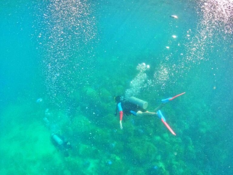 Phu Quoc: Scuba Diving Experience for All Levels - Authentic Feedback from Travelers