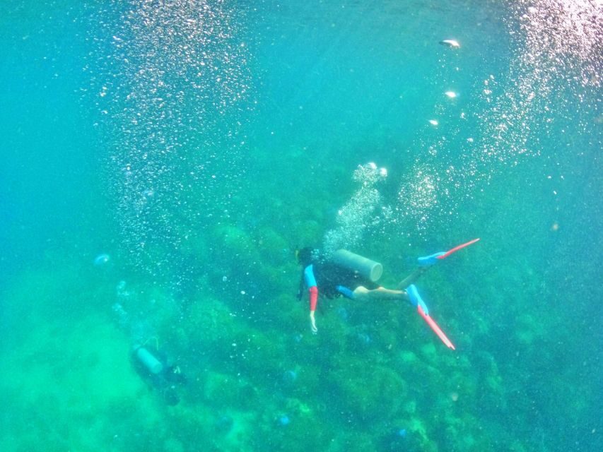 Phu Quoc: Scuba Diving Experience for All Levels - Authentic Feedback from Travelers