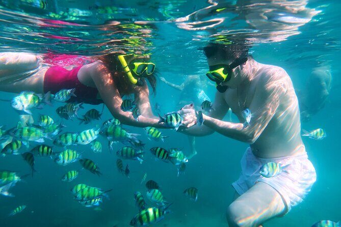 Phuket 3 Khai Island Speedboat With Snorkeling (Half or Full Day) - What the Reviews Say