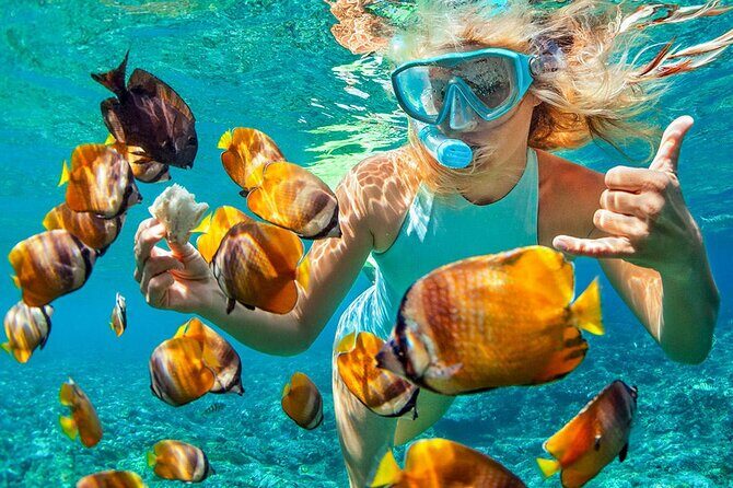 Phuket Coral Island Private Snorkeling Adventure All Inclusive - What Does This Tour Offer Compared to Others?