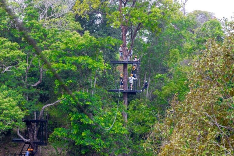 Phuket: Rainforest Eco Zipline Expedition - The Thrill and the Scenery