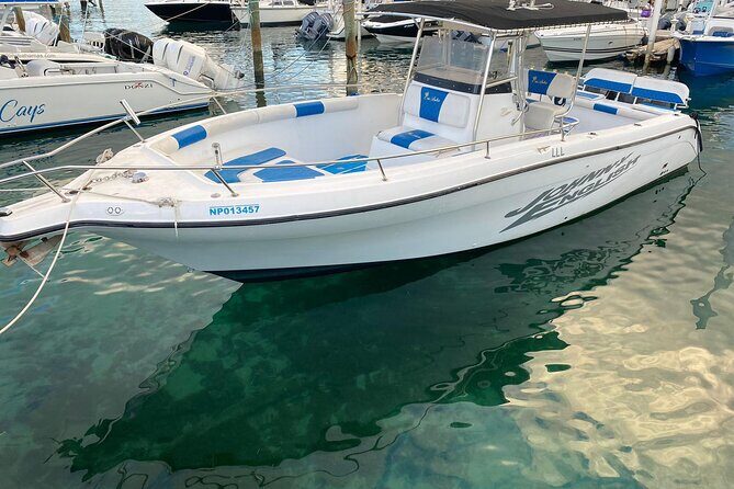 Pigs Beach, Green Turtle Cay, Rose Island Private Tour - Additional Details and Practical Tips