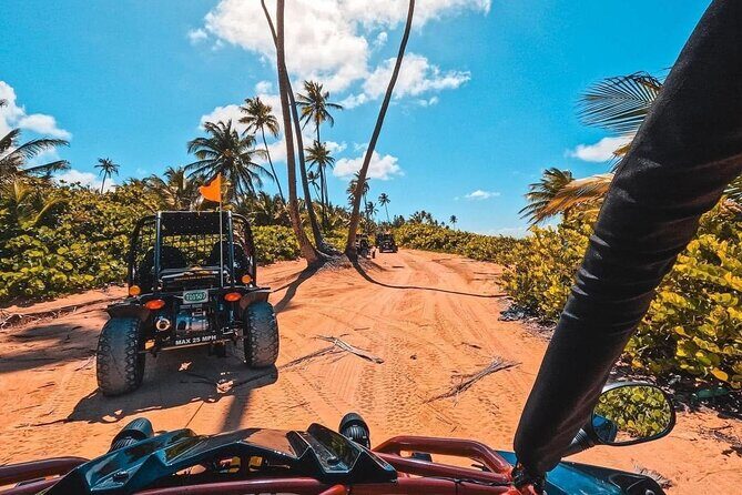 Piñones Beach Buggy + El Yunque Waterfall Adventure - Authentic Reviews from Past Travelers