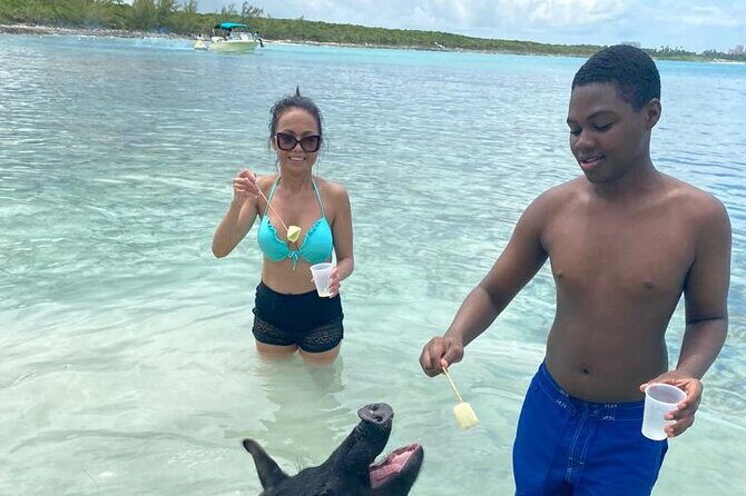 Powerboat and Snorkel Experience with Swimming Pigs and Turtles - How It All Comes Together: The Itinerary in Detail