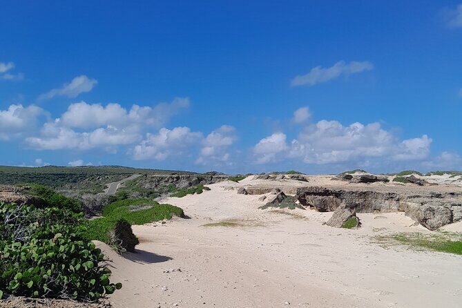 Private 4x4 Natural Pool, Caves & Baby Beach by Cross Aruba Tours - What Sets This Tour Apart?