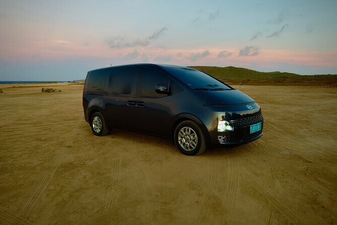 Private Airport Transfer Round-Trip Aruba - Final Thoughts