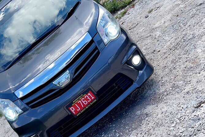Private Airport transfer to/from all hotels in Negril round trip - What’s Included and What’s Not