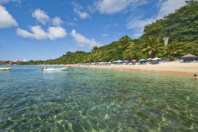 Private all-inclusive snorkeling at sosua beach. - The Itinerary: What to Expect