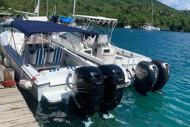 Private All Inclusive Speedboat to Soufriere with Lunch, Mud Bath & Waterfall - Who Is This Tour Best For?