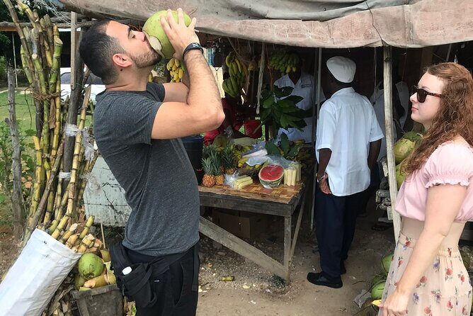 Private and Customize Highlight Tour to Montego Bay from Falmouth - The Itinerary in Detail