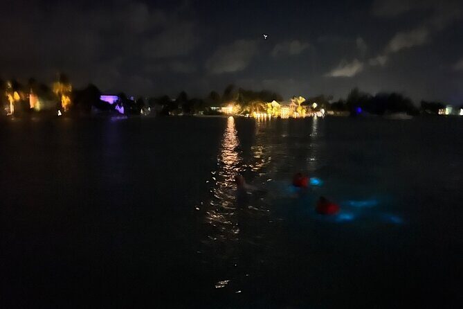 Private: Bioluminescence Tour - Valuing the Experience: What Matters Most for Travelers