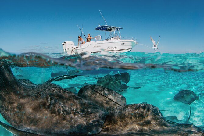 Private Boat Charter Snorkeling Stingray City or Bio Bay - What’s Included and What’s Not