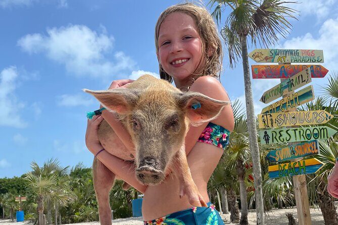 Private Boat Swim and Snorkel Adventure to Rose Island - The Practical Details