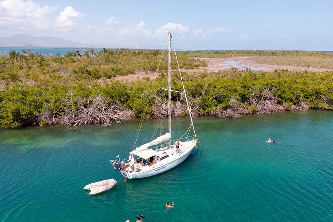 Private Day Sail - South Coast of Puerto Rico - What Do the Reviews Say?