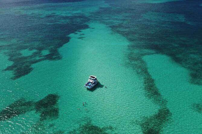 Private Full Day Charter to Saona Island from Punta Cana - A Deep Dive Into the Experience