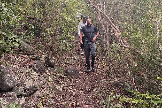 Private Hiking Tour in British Virgin Island with the Best 360 View - The Sum Up: Why This Hike Offers Great Value and Unique Experiences