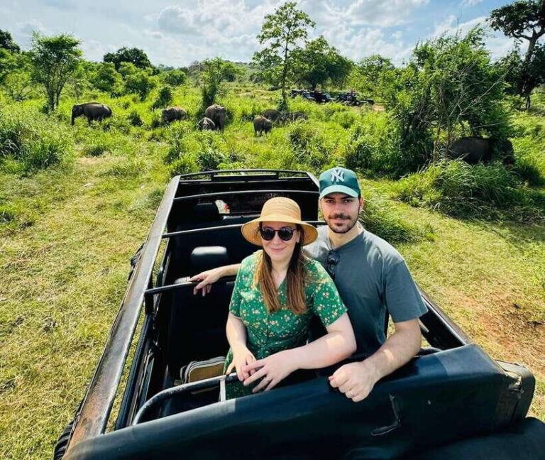 Private Kandy to Sigiriya and Minneriya Safari Day Tour - Who Will Enjoy This Tour?
