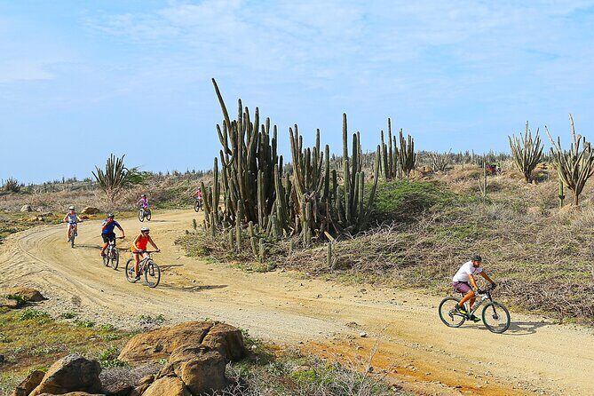 Private Mountain Bike Tour in Aruba - The Itinerary: What You Can Expect