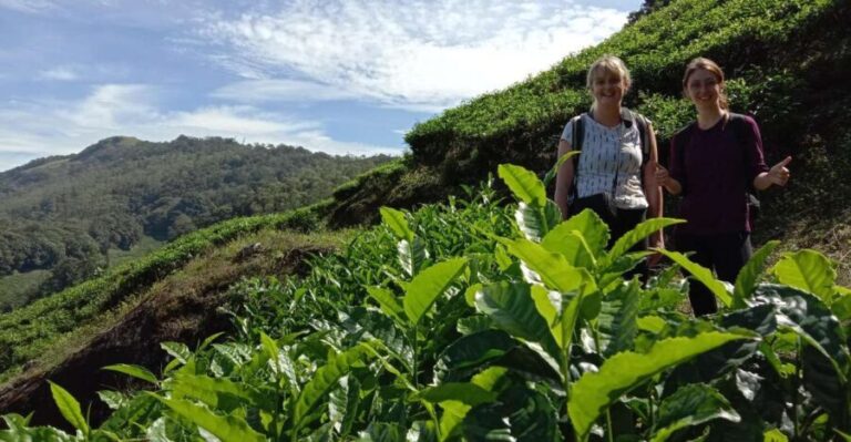 Private Munnar Tea Trek - Key Points