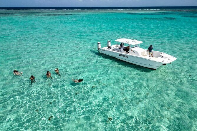 Private Snorkel and Cruise Experience in Ceiba - Authentic Insights from Past Travelers