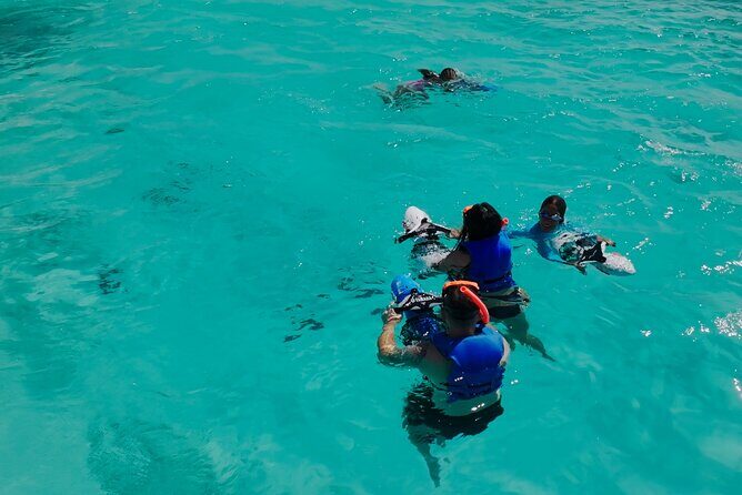 Private Snorkeling and Boat Riding Experience in Aruba - Why Choose This Tour?