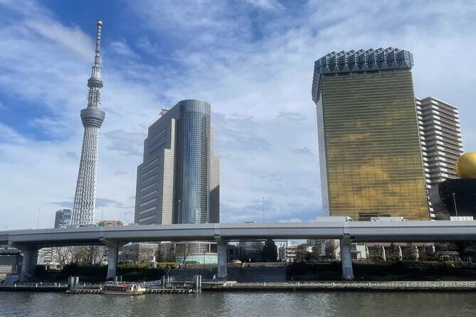 Private Tokyo Tour with Local Guide - Who Should Consider This Tour?