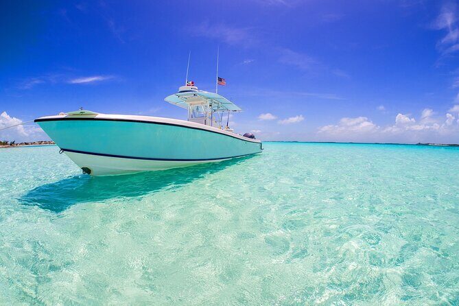 Private Transfer in Nassau (Baha Mar and Surrounding Hotel) - The Practicalities