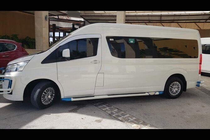 Private Transfer Punta Cana Airport to/from Riu Republica Punta Cana - Analyzing the Value