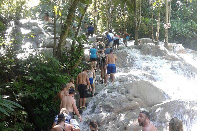 Private Transfer to Dunns River Blue Hole Tubing from Montego Bay - What Travelers Say