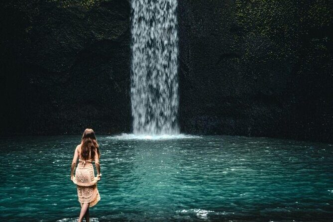 Private Ubud Instagrammable Tour - All Inclusive - What to Expect in Terms of Logistics and Value