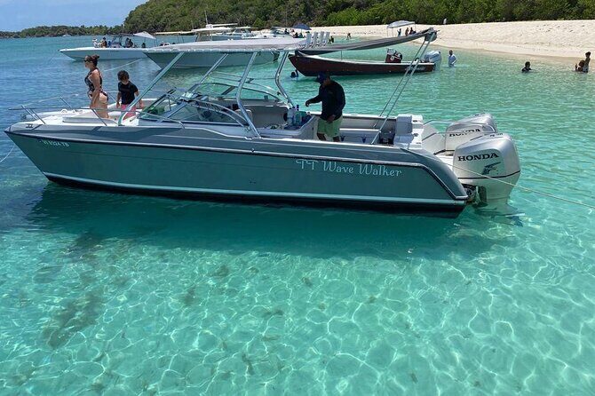 Public or Private Boat Trip to Icacos & Palomino - Why Travelers Love This Tour