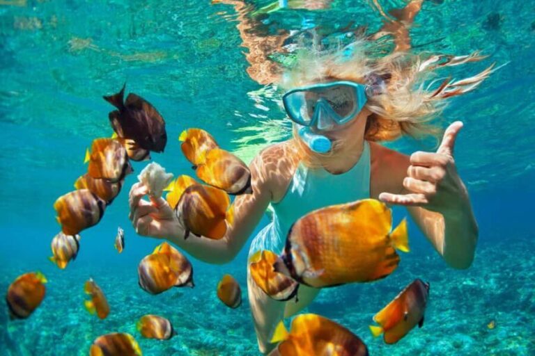Puerto Plata: Catamaran Snorkeling Trip with Buffet - Who Would Enjoy This Tour?