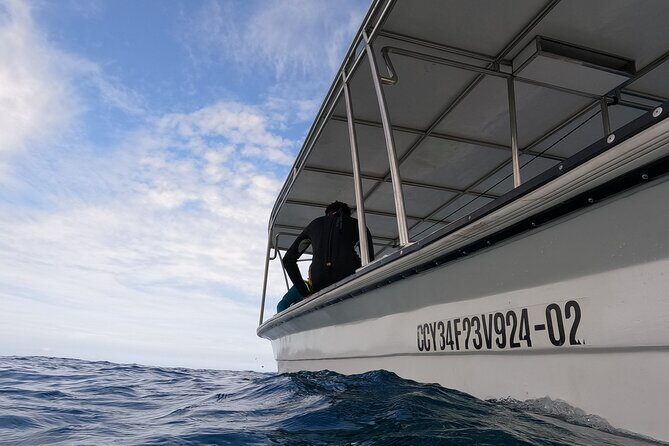 Puerto Plata Shore Excursion, Snorkeling tour & Sosua Beach Day - What Do Travelers Say?