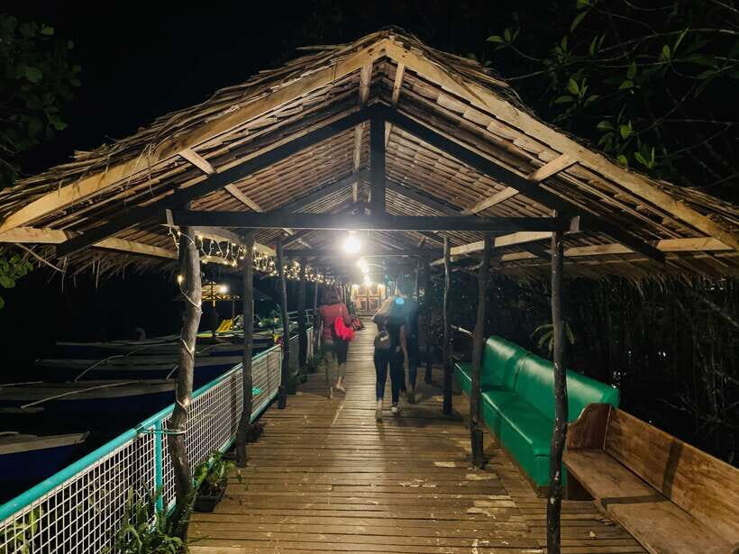 Puerto Princesa: Jungle Firefly Watching Boat Tour & Dinner - The Guide and the Atmosphere