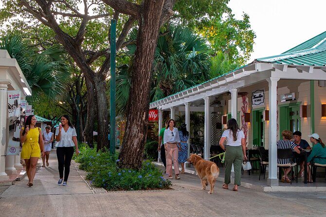 Punta Cana City Tour Explore the Heart of the City - What Makes This Tour Stand Out?
