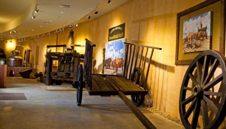 Punta Cana: Dominican Flavors Guided Day Trip - Who Will Love This Tour?