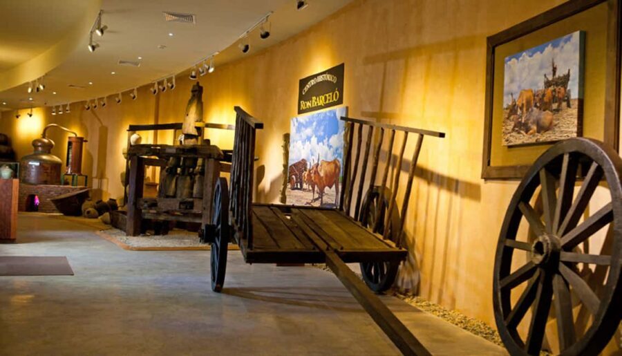 Punta Cana: Dominican Flavors Guided Day Trip - Who Will Love This Tour?