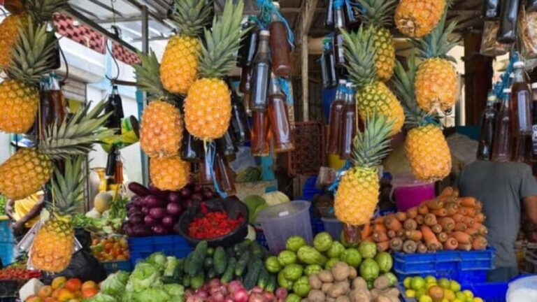 Punta Cana: Dominican Republic Culture Tour - What the Reviews Tell Us