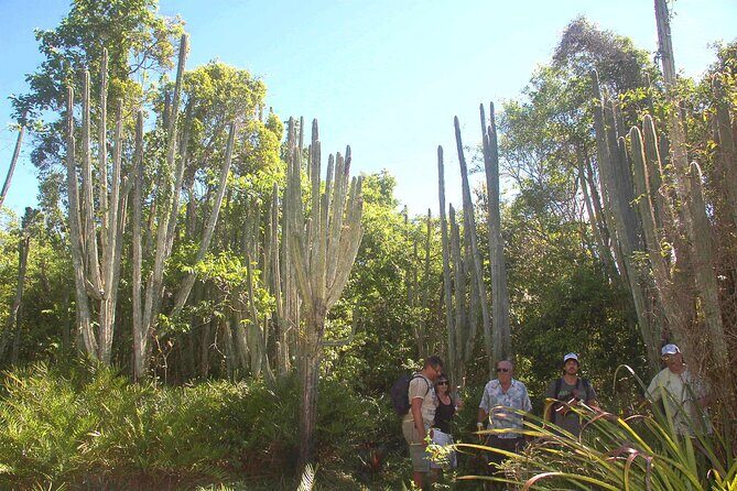 Punta Cana: Eco Jungle Tour - Who Will Love This Tour?