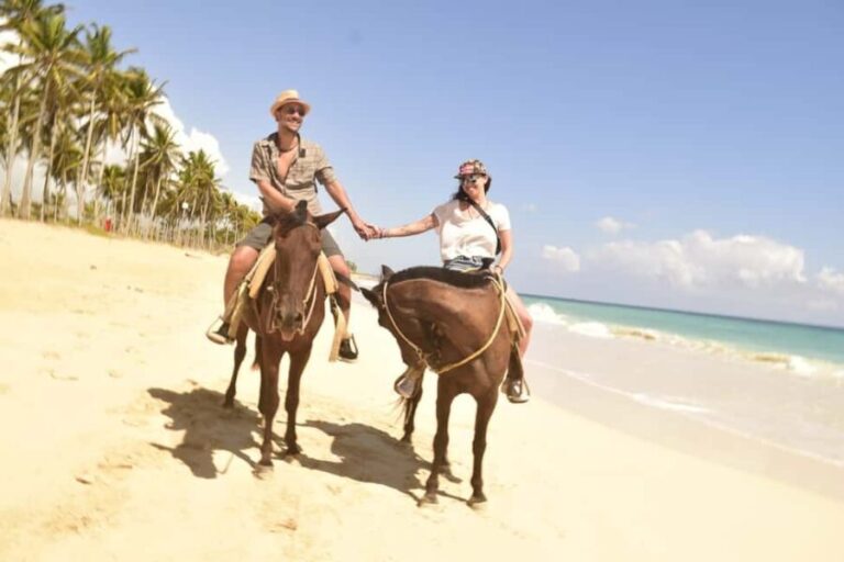 Punta Cana: Horseback Ride to Macao Beach - Who Will Love This Tour?