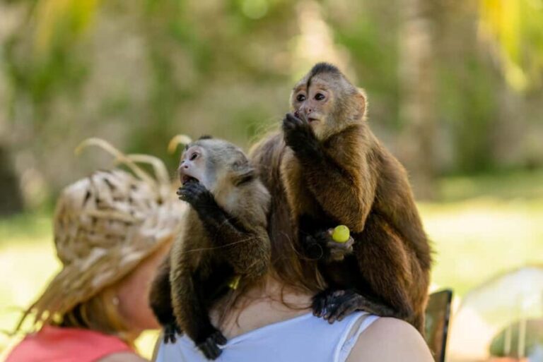 Punta Cana: Interactive Experience at Monkey House - Authentic Feedback from Travelers