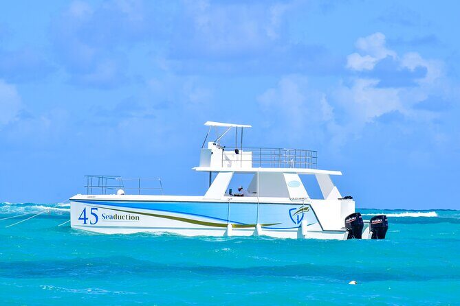 Punta Cana Private Boat Tour with Open Bar and BBQ - What the Reviews Say
