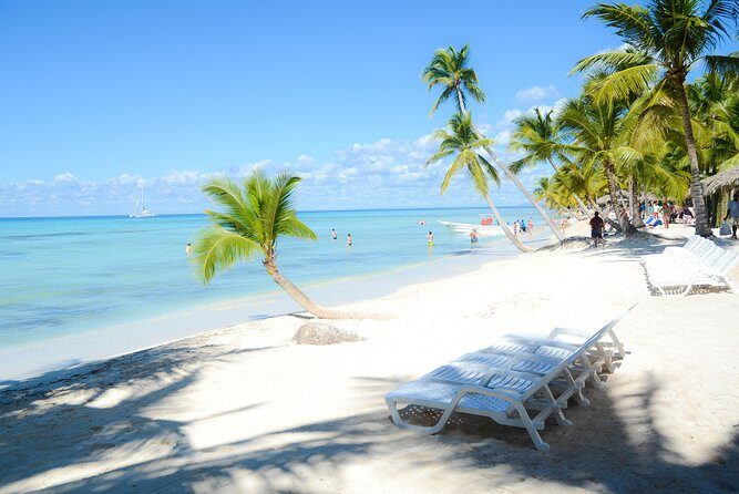 Punta Cana : Saona Island Day Tour - What the Reviews Tell Us