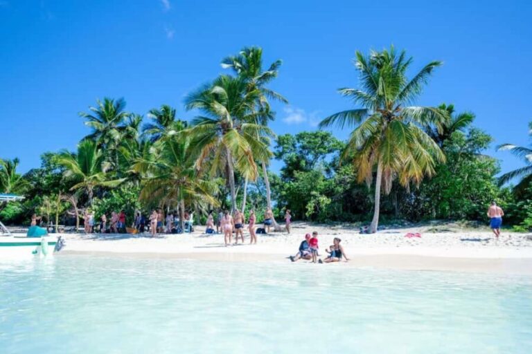 Punta Cana : Saona Island VIP 4 first-class beach and sunset - Transportation, Group Size, and Timing