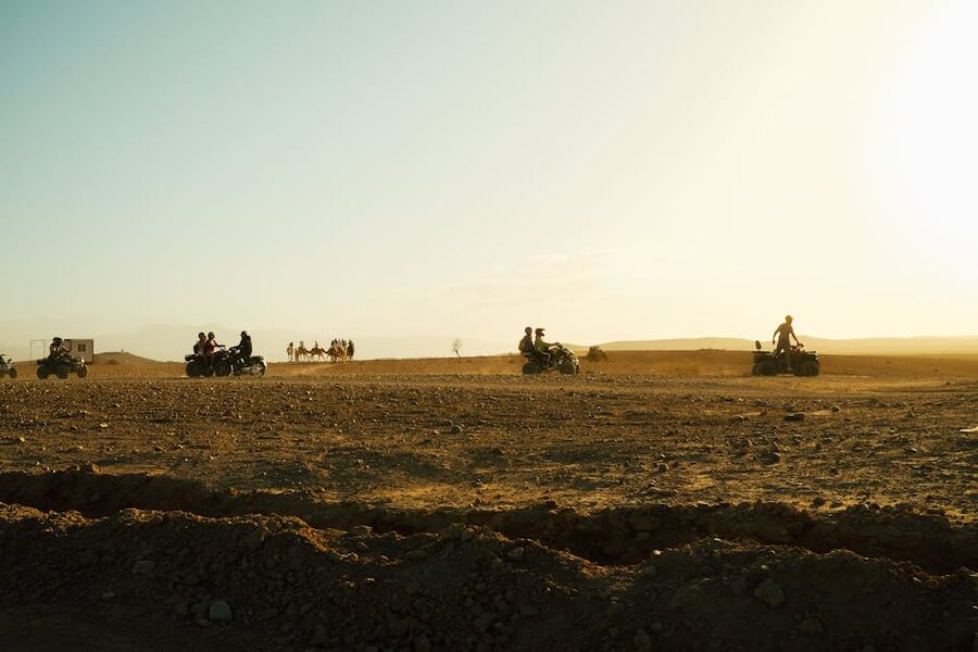 Quad bikes and camels at golden hour
