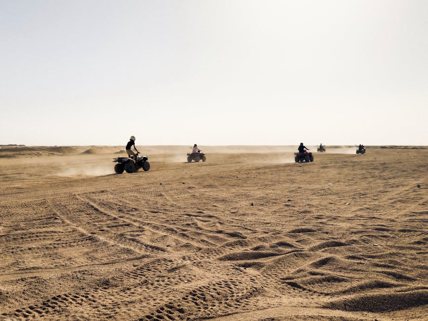 Quad bike group on sunny day