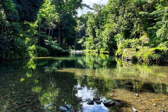Rainforest and Junglequi Zipline Combo Tour - Final Thoughts: Is This Tour Worth It?